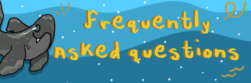 Frequently asked questions